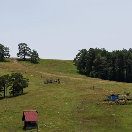 Vienna Lux&spa 2 * Zlatibor