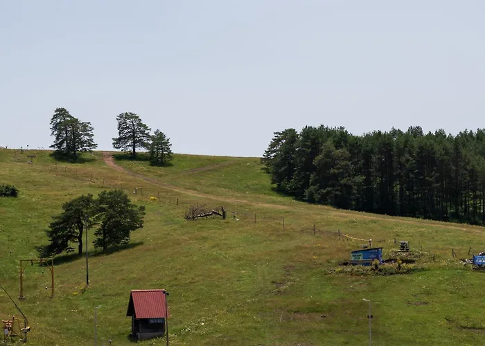 Vienna Lux&spa 2 * Zlatibor